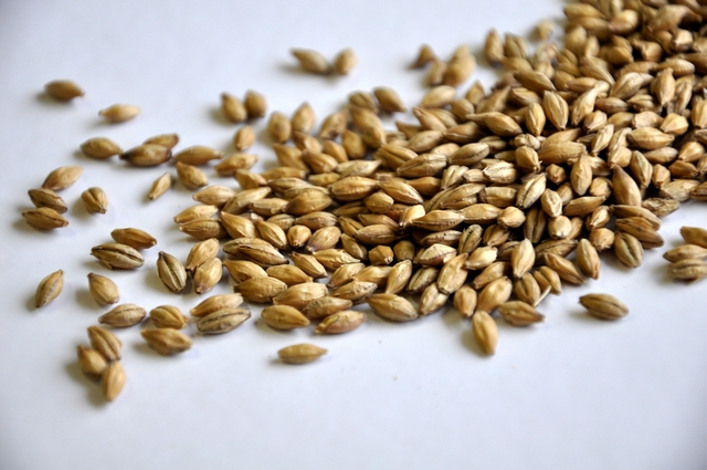 Dextrin Malt (British)